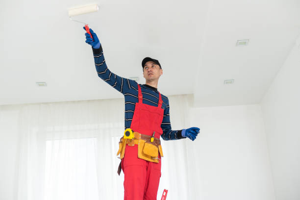Best Comprehensive Air Testing for Mold Contaminants  in Lake Isabella, MI