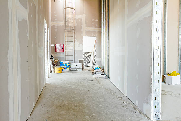 Best Mold Remediation for Rental Properties  in Lake Isabella, MI