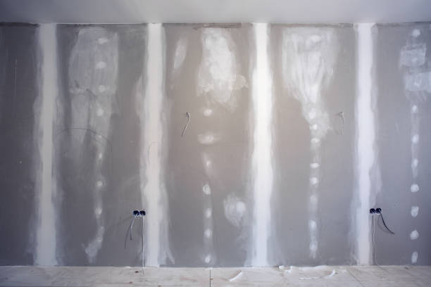 Best Emergency Mold Remediation  in Lake Isabella, MI